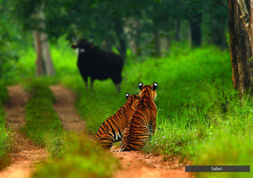 The Serai Bandipur Luaran gambar