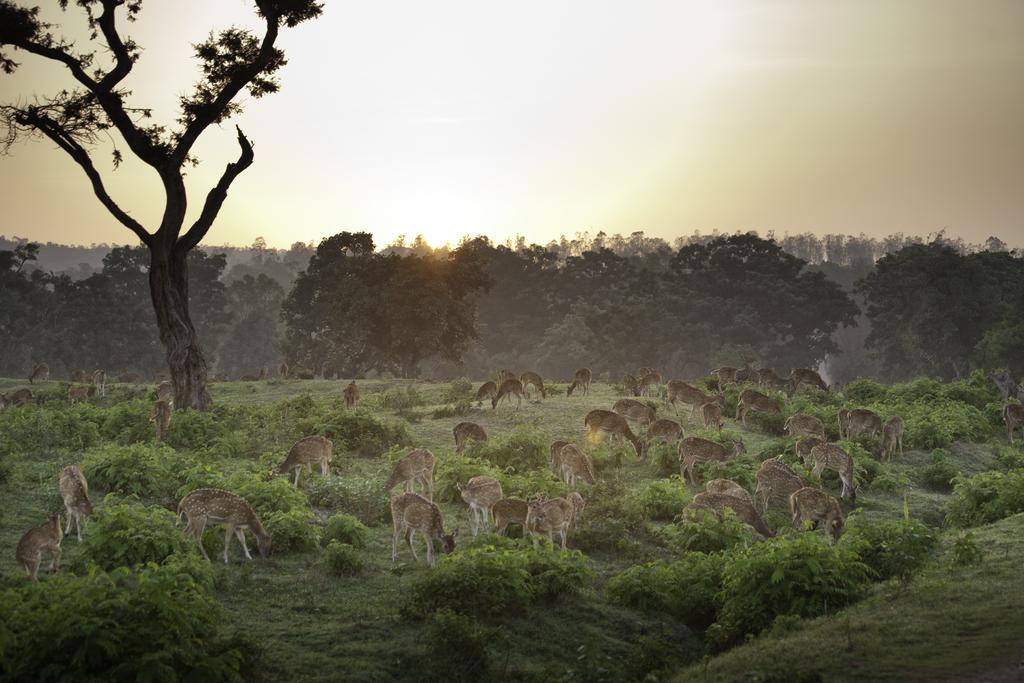 The Serai Bandipur Luaran gambar